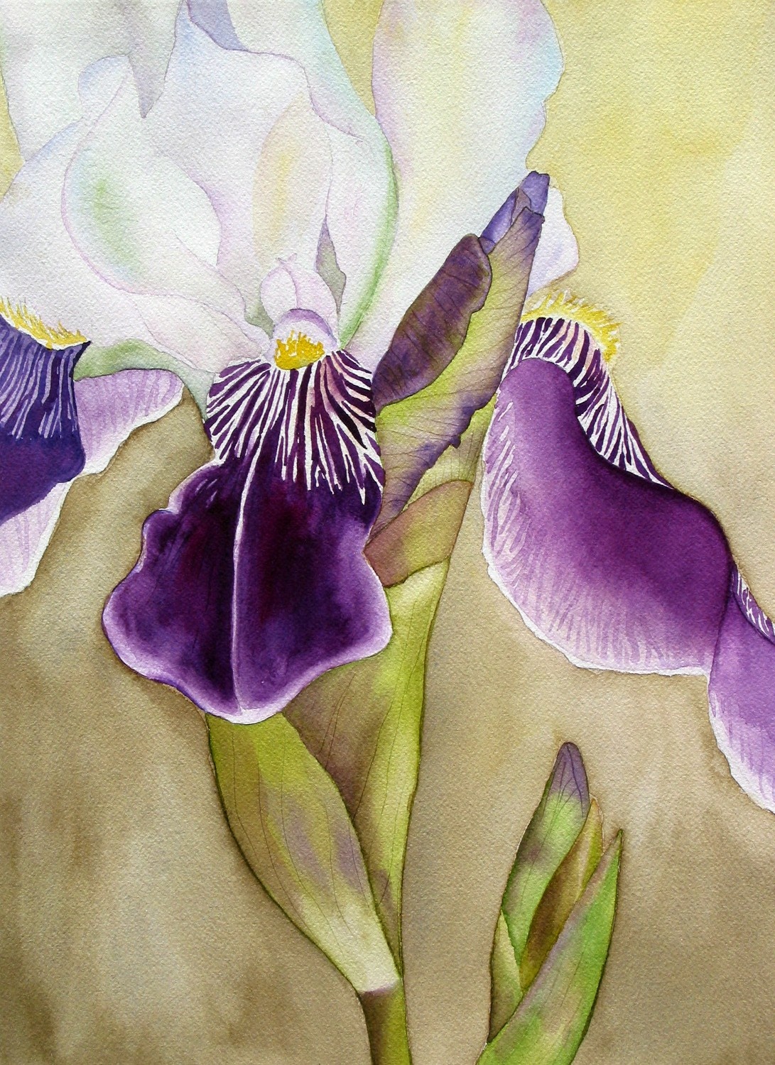 Iris flower Stock Images