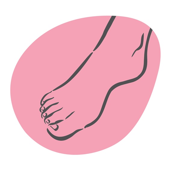 Woman's foot Stock Images