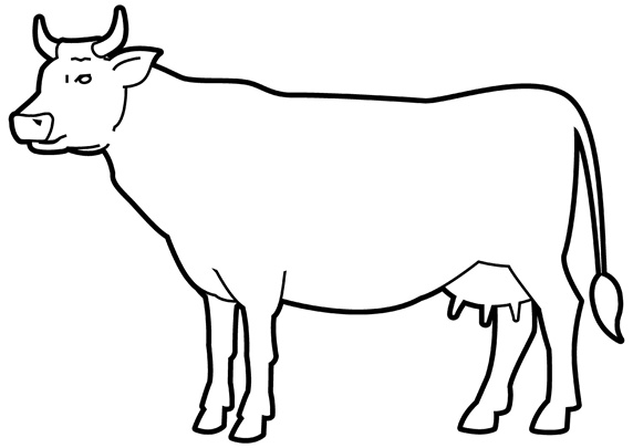 Cow on white background Stock Images