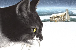 Close-up of cat with cottage in background