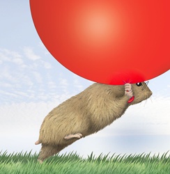 Hamster with big red balloon