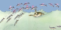 Illustration of turtle and school of fish