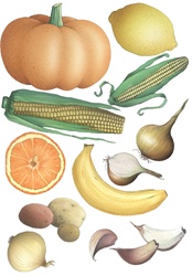 Vegetables and fruit on white background