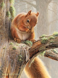 Red squirrel sitting on tree in forest