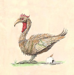 Rooster and human scull