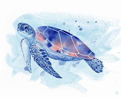 Watercolour painting of sea turtle