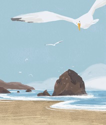 Seagulls flying over coastline