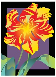 Close up of flower on colored background