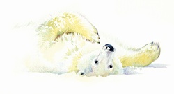 Polar bear laying in snow