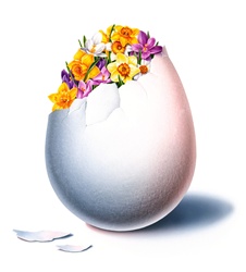 Flowers in egg