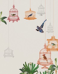 Brightly coloured birds in birdcages