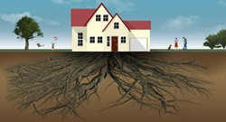 House with large roots underground