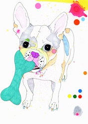 Painting of French Bulldog chewing bone