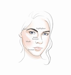 Tips for applying makeup in diagram on beautiful face