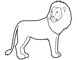 Lion on white background