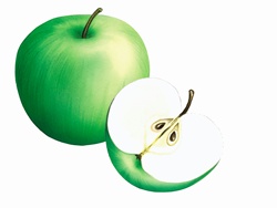 Close up of green Crispin apples on white background