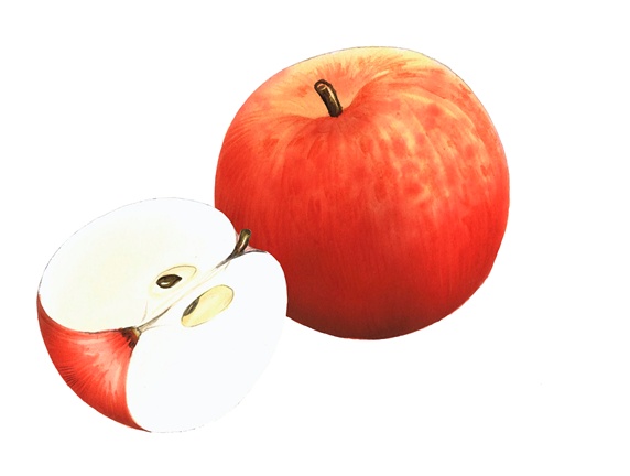 Close up of Fiesta apples on white background
