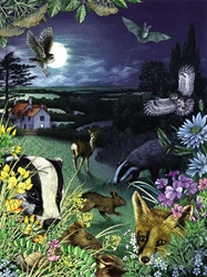 Night view of countryside with various animals