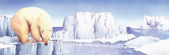 Polar bear on the edge of iceberg