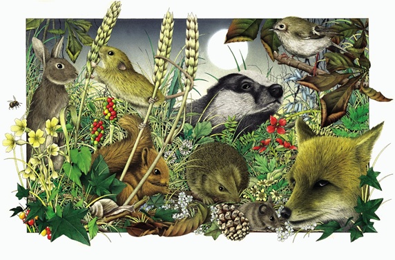 Various animals in natural habitat