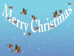 Birds in winter sky and christmas wishes sign