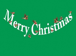 Birds and christmas wishes sign on green background