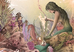 View of mermaid and sea life