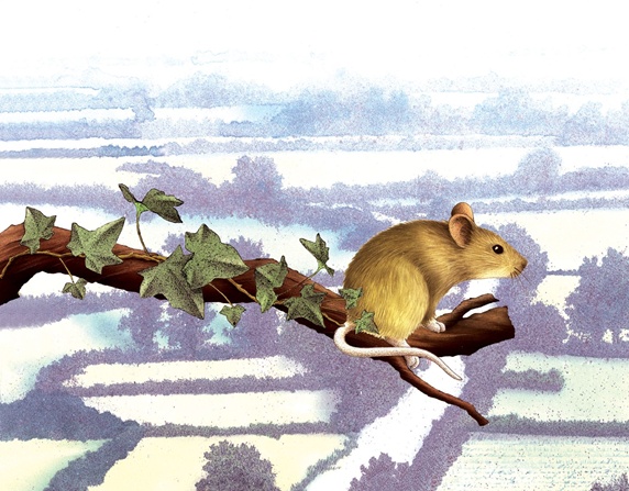 Close-up of mouse sitting on branch