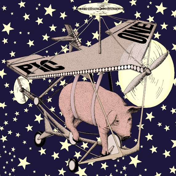 Air vehicle with pig and stars in background