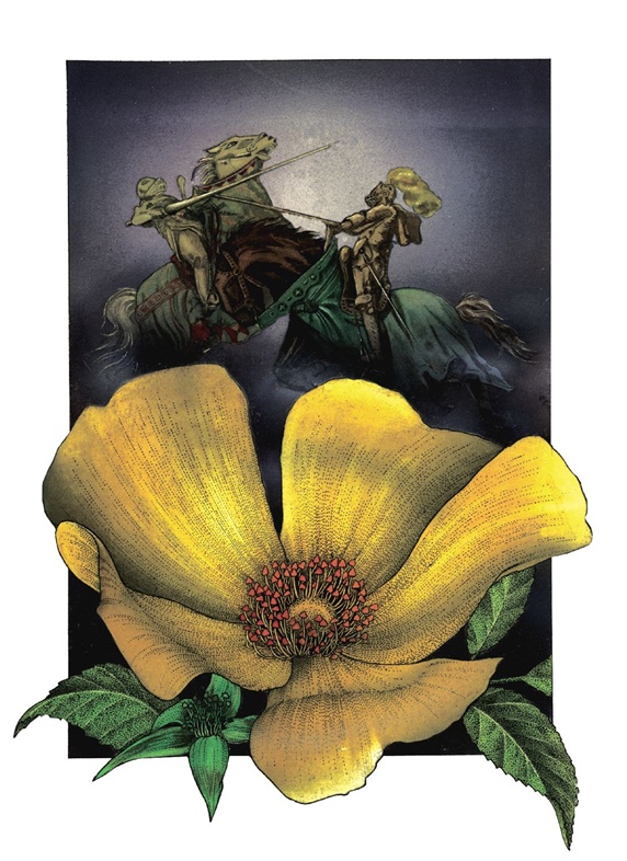 Close-up of yellow flower with fighting knights in background