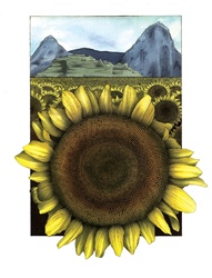 Close-up of sunflower with scenic landscape in background