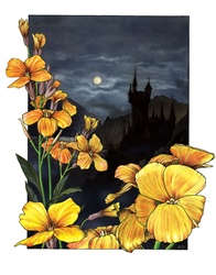 Close-up of yellow flower with castle in background