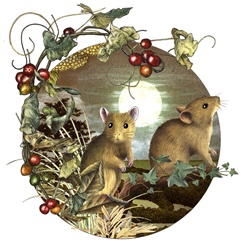Close-up of mice in meadow