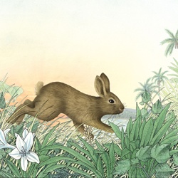Side view of rabbit in meadow