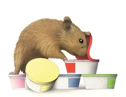 Mouse looking into colorful containers