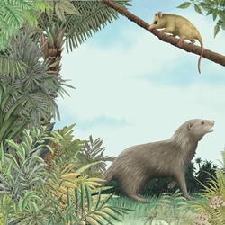Otter in grass and mouse on branch