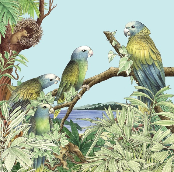 Parrots perching on branch, mouse building bird's nest