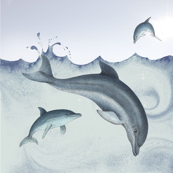 Dolphins splashing in water