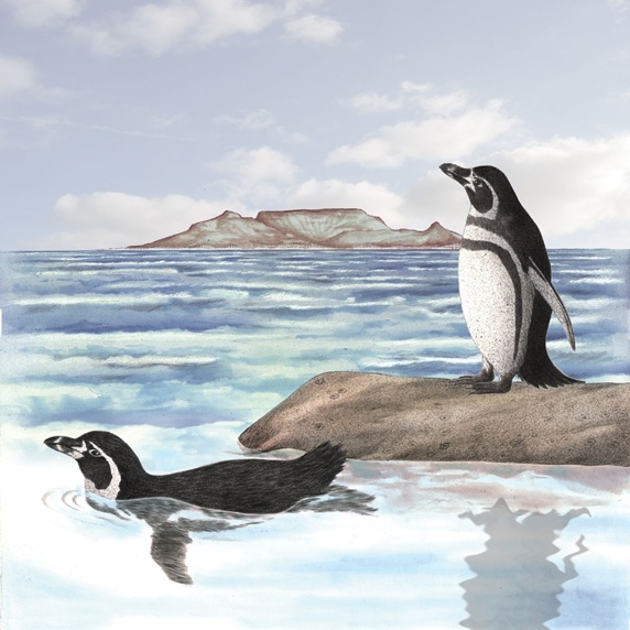 Penguins at seaside