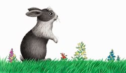 Rabbit rearing up in meadow
