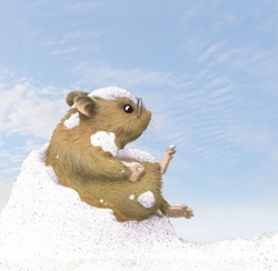 Hamster playing outdoors in snow