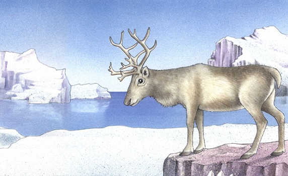 Illustration of deer standing on ice