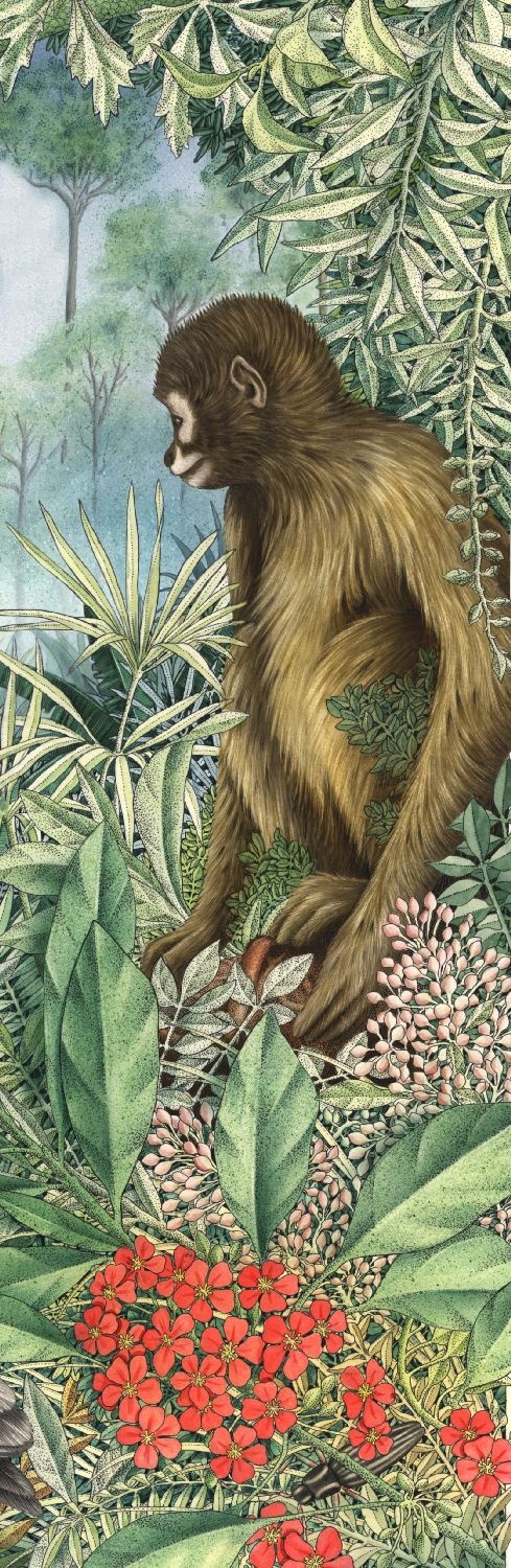 Illustration of monkey in jungle
