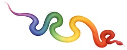 Multi colored snake on white background