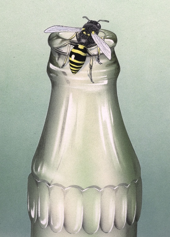 View of bee on empty bottle