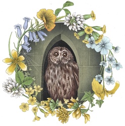 Owl in arch window with flowers
