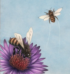Bees and purple flower