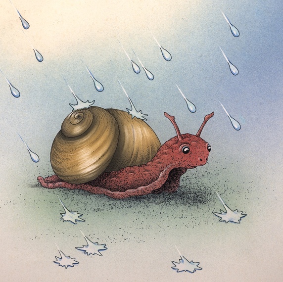 Snail and raindrops