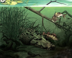 Fish and crocodile swimming under water
