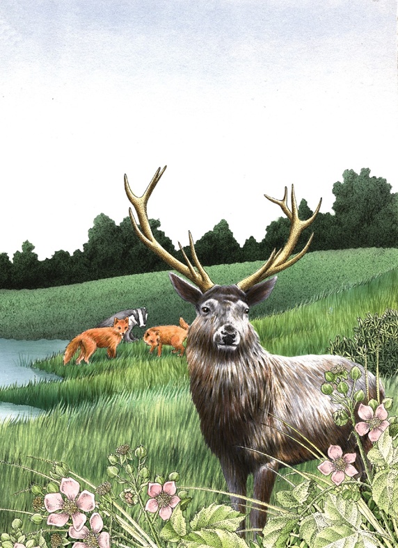 Forest animals in meadow